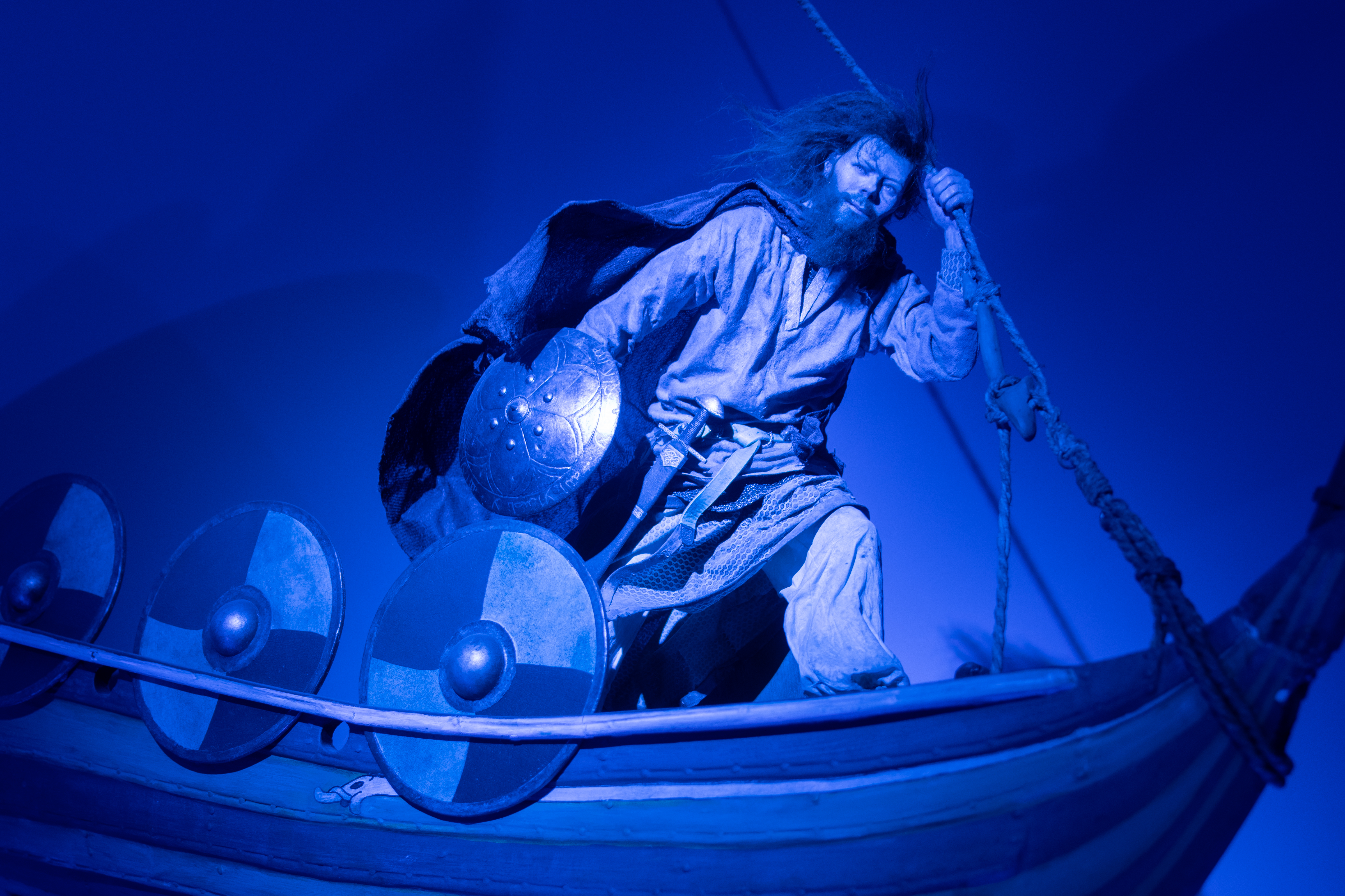 blaa-viking-paa-vikingeskib