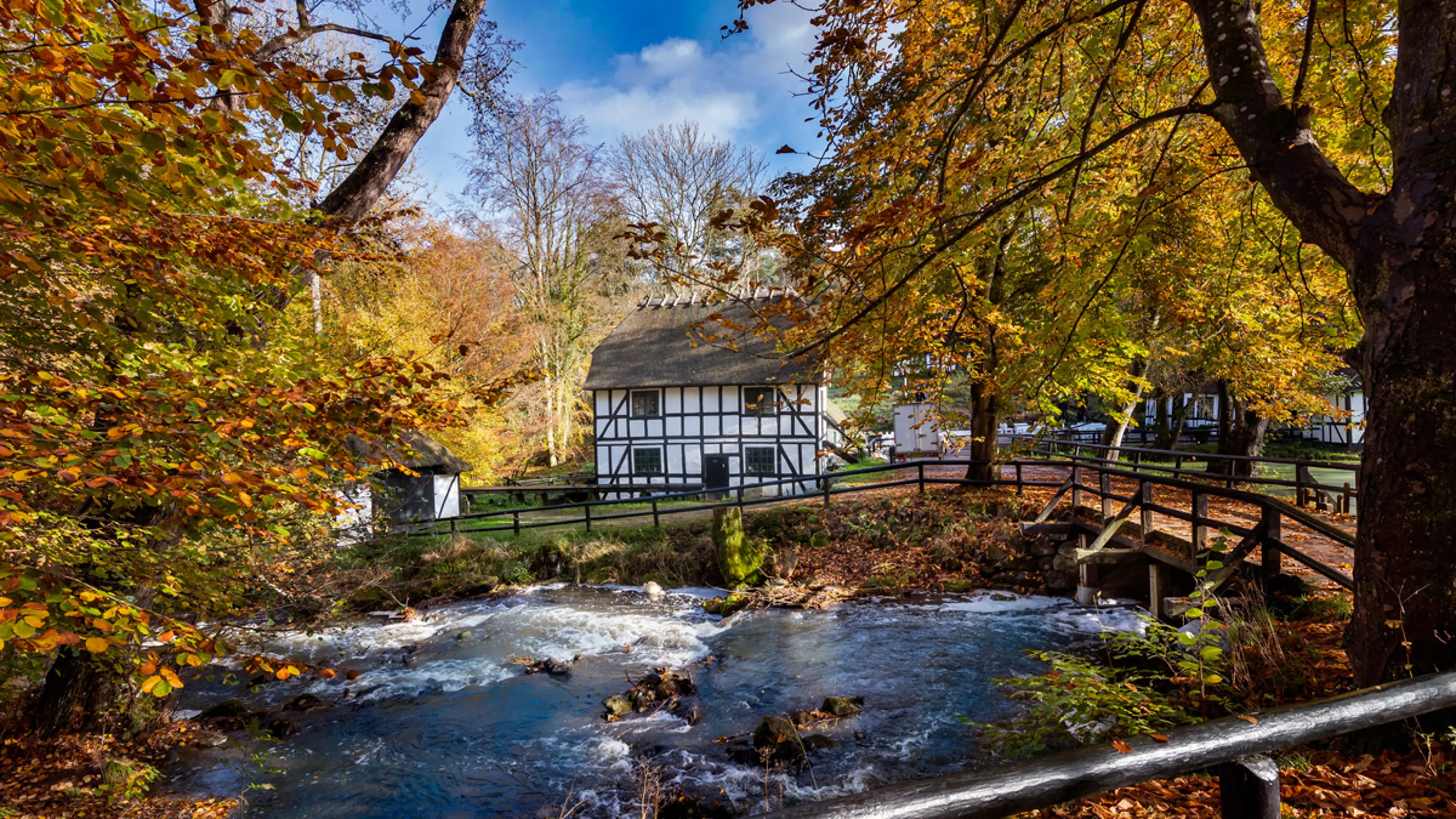 smuk-natur-ved-skovmoellen