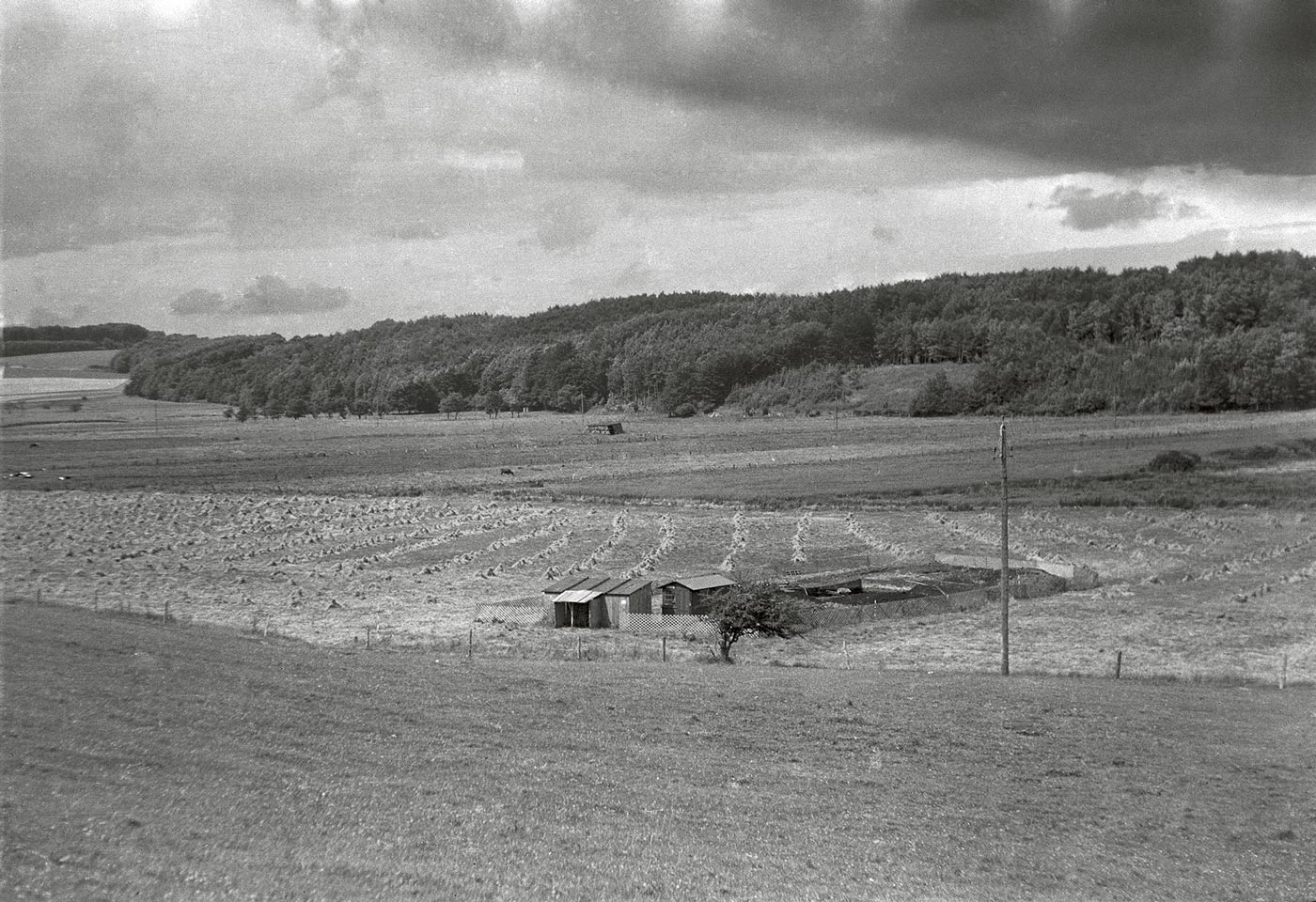 udgravningsomraadet-ved-illerup-aadal