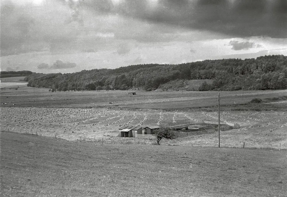 udgravningsomraadet-ved-illerup-aadal