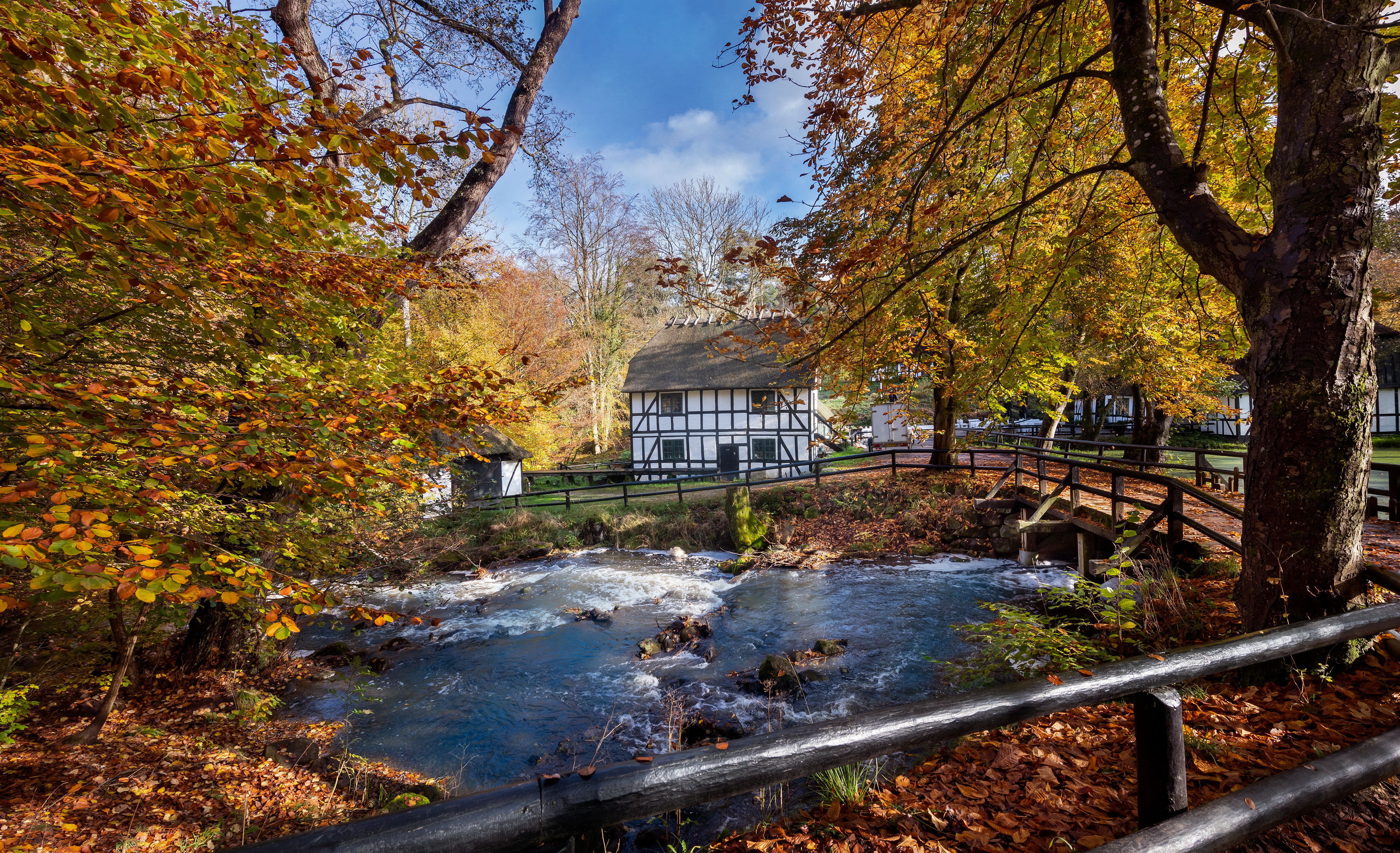 skovmoellen-ved-efteraar