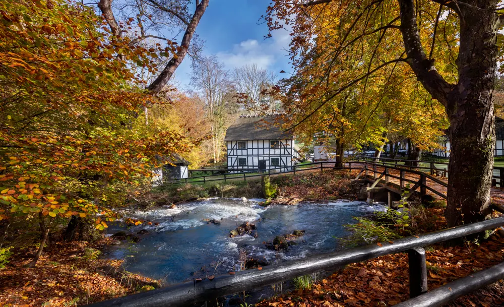 skovmoellen-ved-efteraar